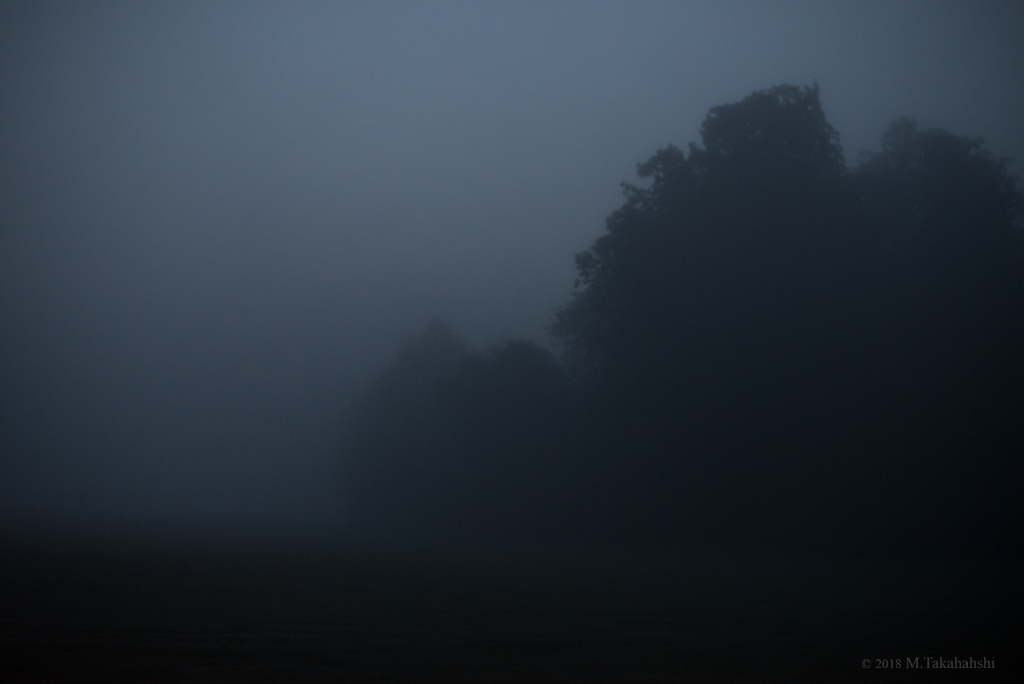 朝霧のバイブリー・コート（2015/06）